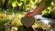 affirmations for attracting love