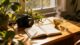 powerful affirmations for focus