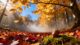 seasonal transformation through affirmations