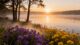 survivor healing empowerment affirmations